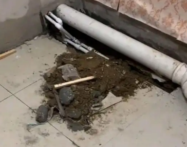 连云港市卫生间漏水检测哪家好